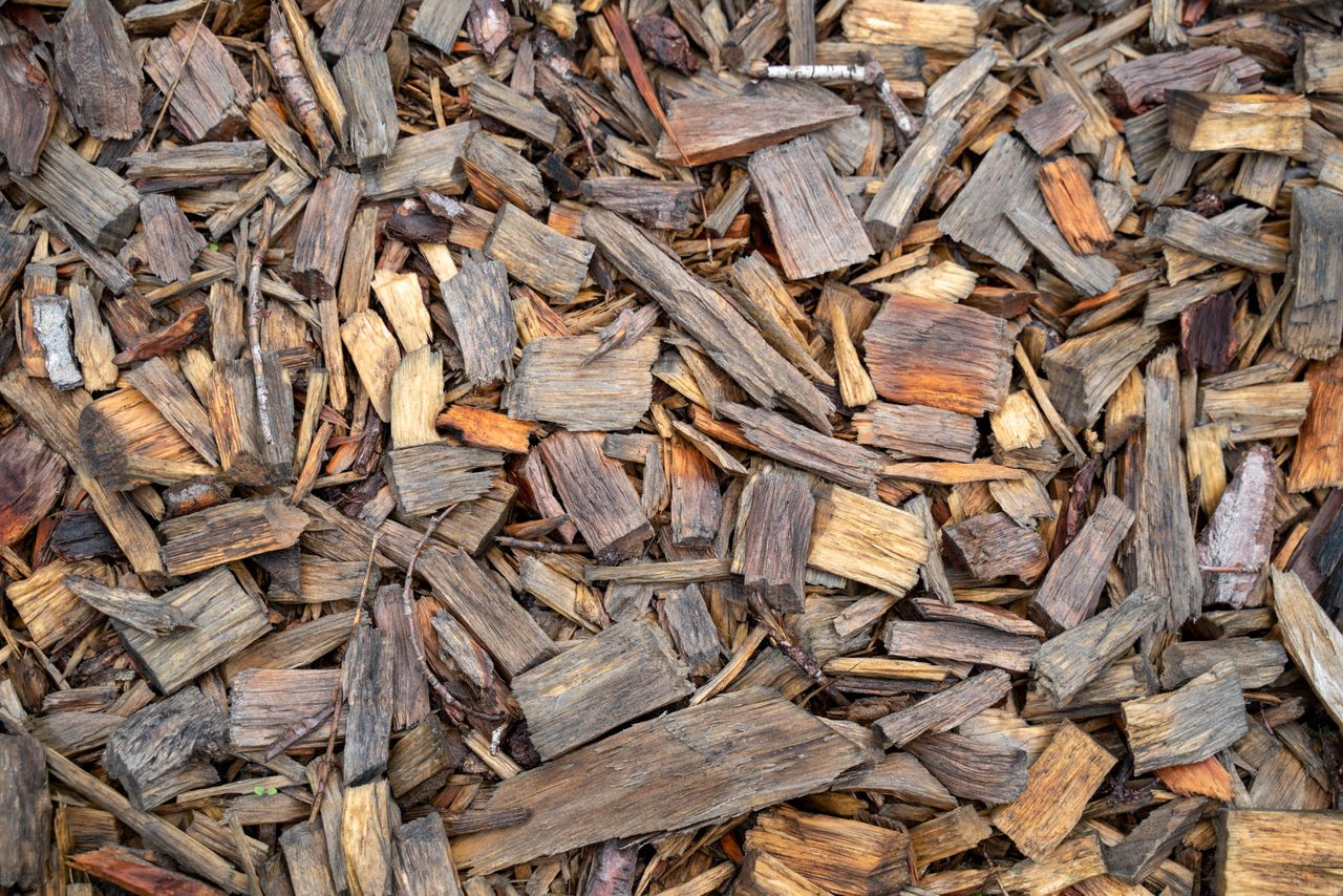 Detailed close-up of dry cut firewood pieces, perfect for gardening.